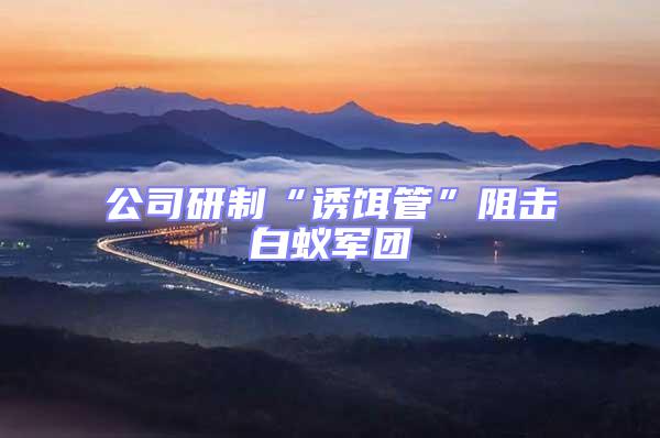 公司研制“誘餌管”阻擊白蟻軍團(tuán)