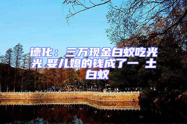 德化:三萬現金白蟻吃光光 娶兒媳的錢成了一抔土 白蟻