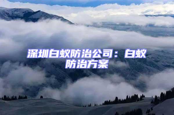深圳白蟻防治公司:白蟻防治方案