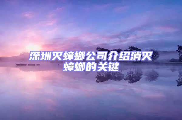 深圳滅蟑螂公司介紹消滅蟑螂的關鍵