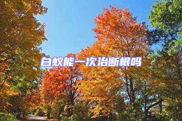 白蟻能一次治斷根嗎