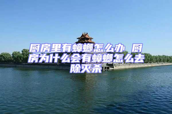 廚房里有蟑螂怎么辦 廚房為什么會有蟑螂怎么去除滅殺