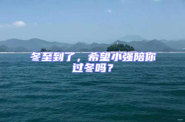 冬至到了,希望小強(qiáng)陪你過冬嗎?