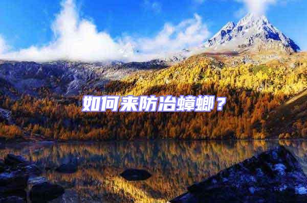 如何來防冶蟑螂?