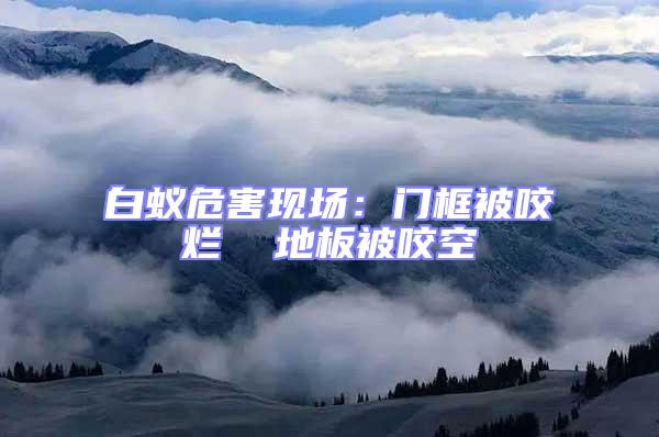 白蟻危害現場：門框被咬爛  地板被咬空