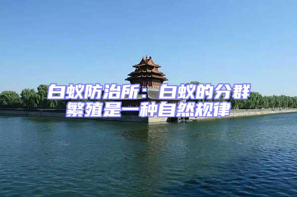 白蟻防治所:白蟻的分群繁殖是一種自然規律