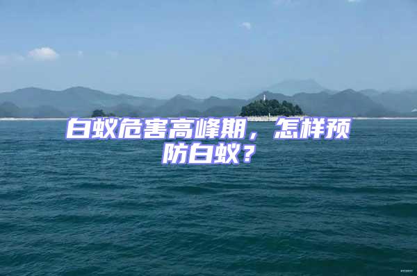 白蟻危害高峰期,怎樣預防白蟻?