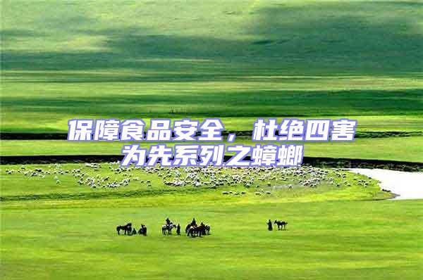 保障食品安全，杜絕四害為先系列之蟑螂