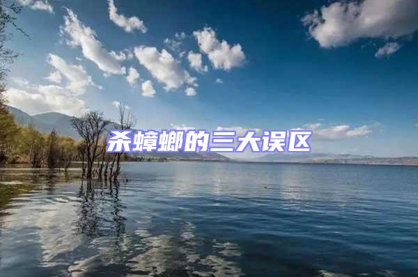 殺蟑螂的三大誤區