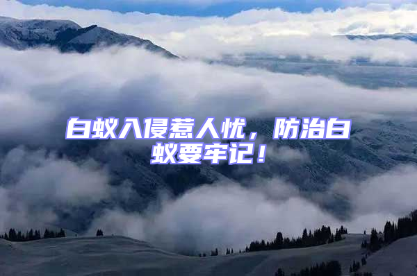 白蟻入侵惹人憂，防治白蟻要牢記！