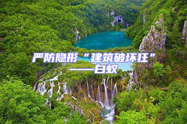 嚴防隱形“建筑破壞狂”——白蟻