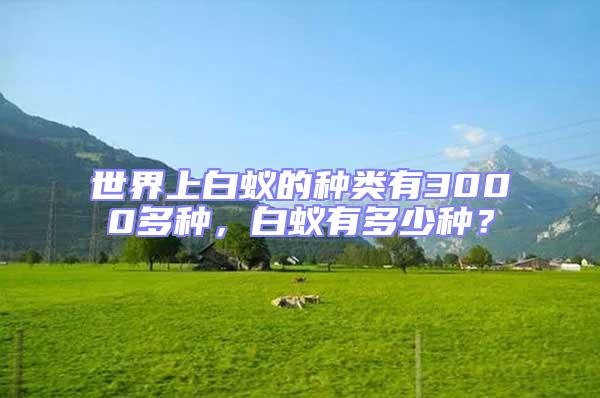 世界上白蟻的種類有3000多種，白蟻有多少種？