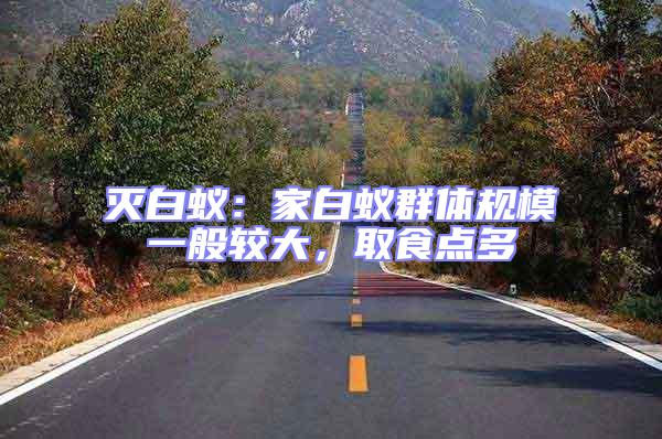 滅白蟻:家白蟻群體規(guī)模一般較大,取食點(diǎn)多
