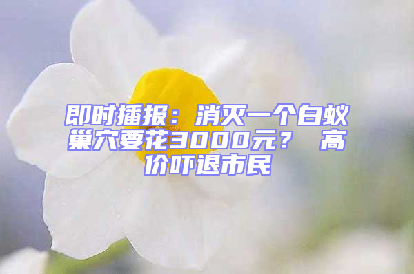 即時播報:消滅一個白蟻巢穴要花3000元? 高價嚇退市民