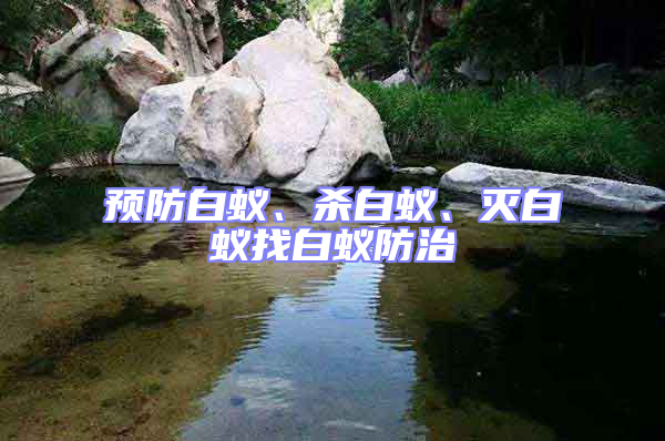 預防白蟻、殺白蟻、滅白蟻找白蟻防治