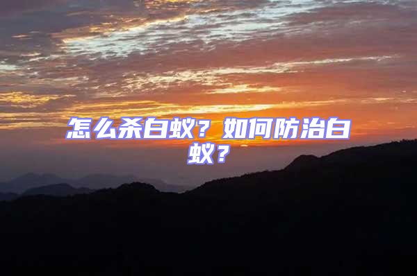 怎么殺白蟻？如何防治白蟻？