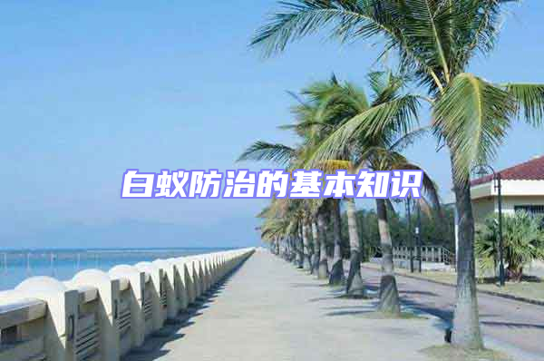 白蟻防治的基本知識(shí)