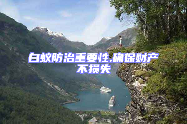 白蟻防治重要性,確保財產(chǎn)不損失