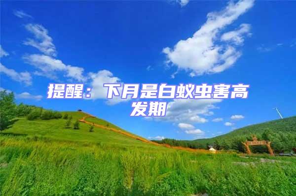 提醒：下月是白蟻蟲害高發期