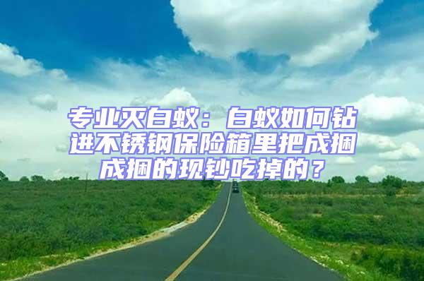 專業滅白蟻:白蟻如何鉆進不銹鋼保險箱里把成捆成捆的現鈔吃掉的?