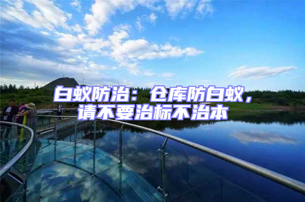 白蟻防治：倉庫防白蟻，請不要治標不治本