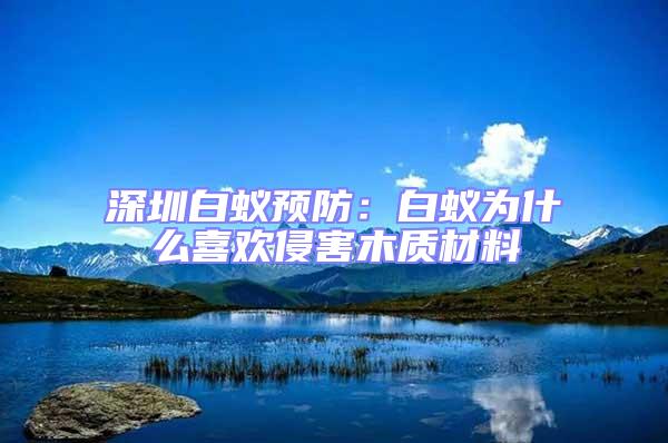 深圳白蟻預防:白蟻為什么喜歡侵害木質材料