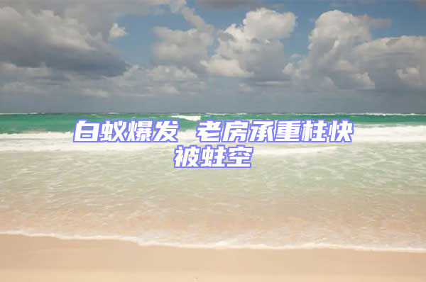 白蟻爆發 老房承重柱快被蛀空