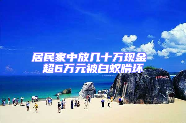 居民家中放幾十萬現金 超6萬元被白蟻啃壞