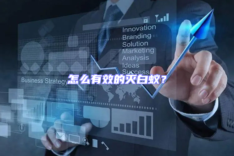 怎么有效的滅白蟻?