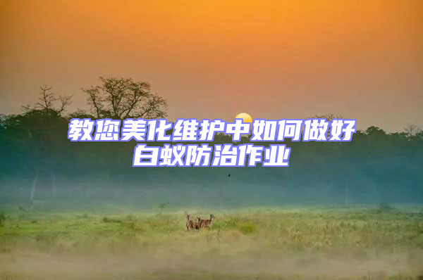 教您美化維護中如何做好白蟻防治作業