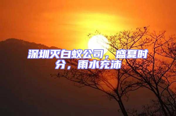 深圳滅白蟻公司，盛夏時分，雨水充沛