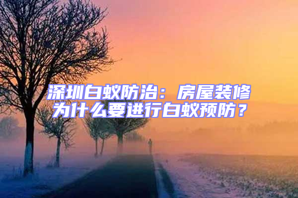 深圳白蟻防治：房屋裝修為什么要進(jìn)行白蟻預(yù)防？