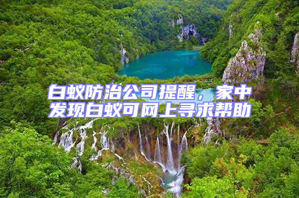 白蟻防治公司提醒,家中發(fā)現(xiàn)白蟻可網(wǎng)上尋求幫助