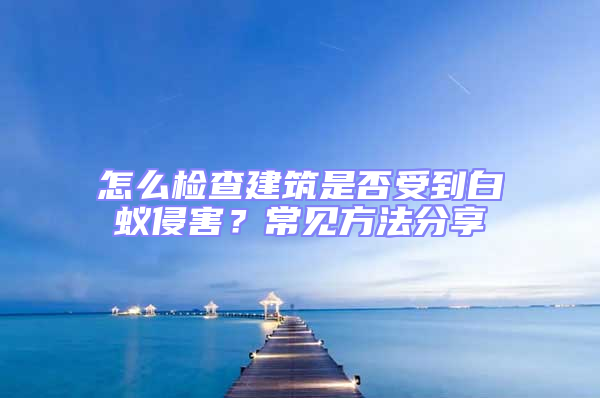 怎么檢查建筑是否受到白蟻侵害?常見方法分享