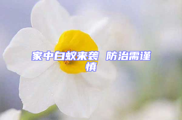 家中白蟻來(lái)襲 防治需謹(jǐn)慎