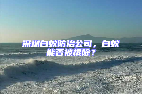 深圳白蟻防治公司,白蟻能否被根除?