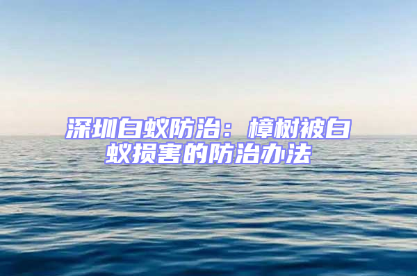 深圳白蟻防治:樟樹被白蟻損害的防治辦法
