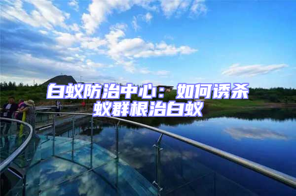 白蟻防治中心:如何誘殺蟻群根治白蟻