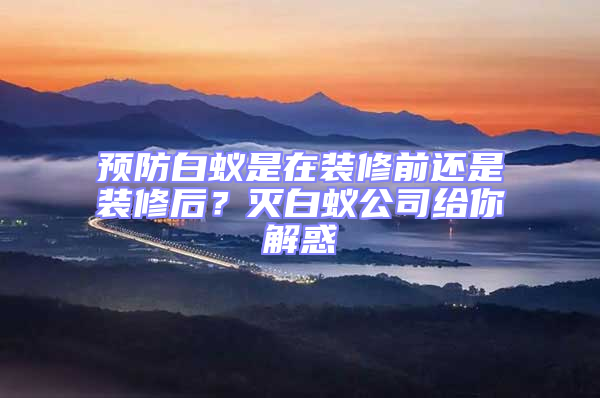 預(yù)防白蟻是在裝修前還是裝修后?滅白蟻公司給你解惑