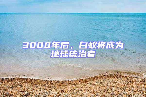 3000年后，白蟻將成為地球統治者