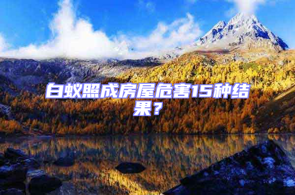 白蟻照成房屋危害15種結果？