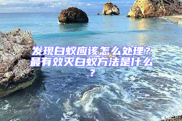 發(fā)現(xiàn)白蟻應(yīng)該怎么處理？最有效滅白蟻方法是什么？