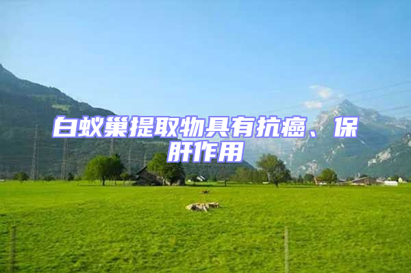 白蟻巢提取物具有抗癌、保肝作用