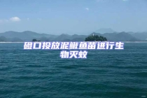 磴口投放泥鰍魚苗進行生物滅蚊