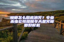 蟑螂怎么徹底消滅？專業殺蟲公司提醒冬天是滅蟑螂好時機