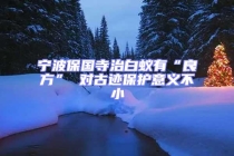 寧波保國寺治白蟻有“良方” 對古跡保護意義不小