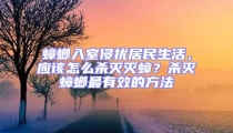 蟑螂入室侵擾居民生活，應(yīng)該怎么殺滅滅蟑？殺滅蟑螂最有效的方法