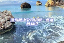深圳除蟲公司講解一些老鼠知識