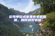 公司單位或家里有老鼠困擾，如何消滅老鼠