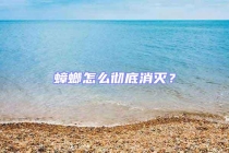 蟑螂怎么徹底消滅？